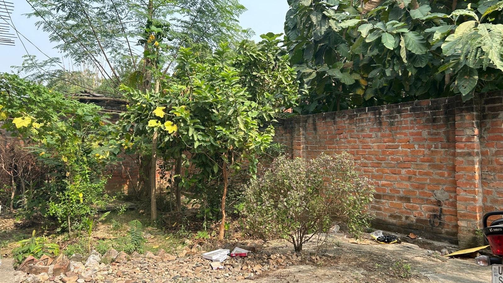 Plot in Sutwalpur — photo 1