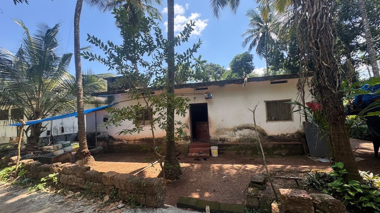 House in Mattannur — photo 4