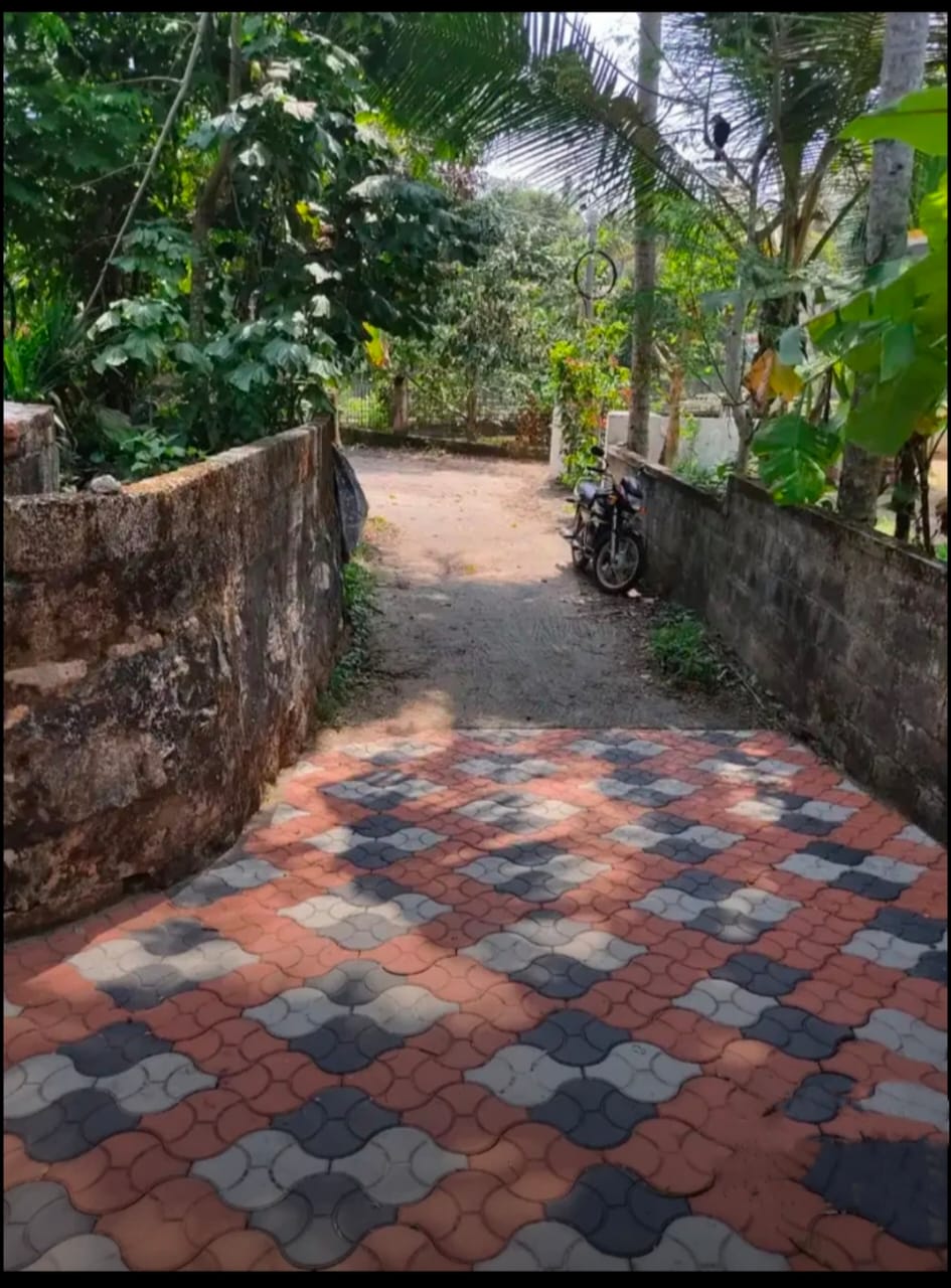 Plot in Kaimanam, Thiruvananthapuram — photo 12