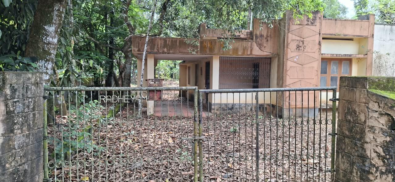 Plot in Pandalam, Pathanamthitta — photo 1