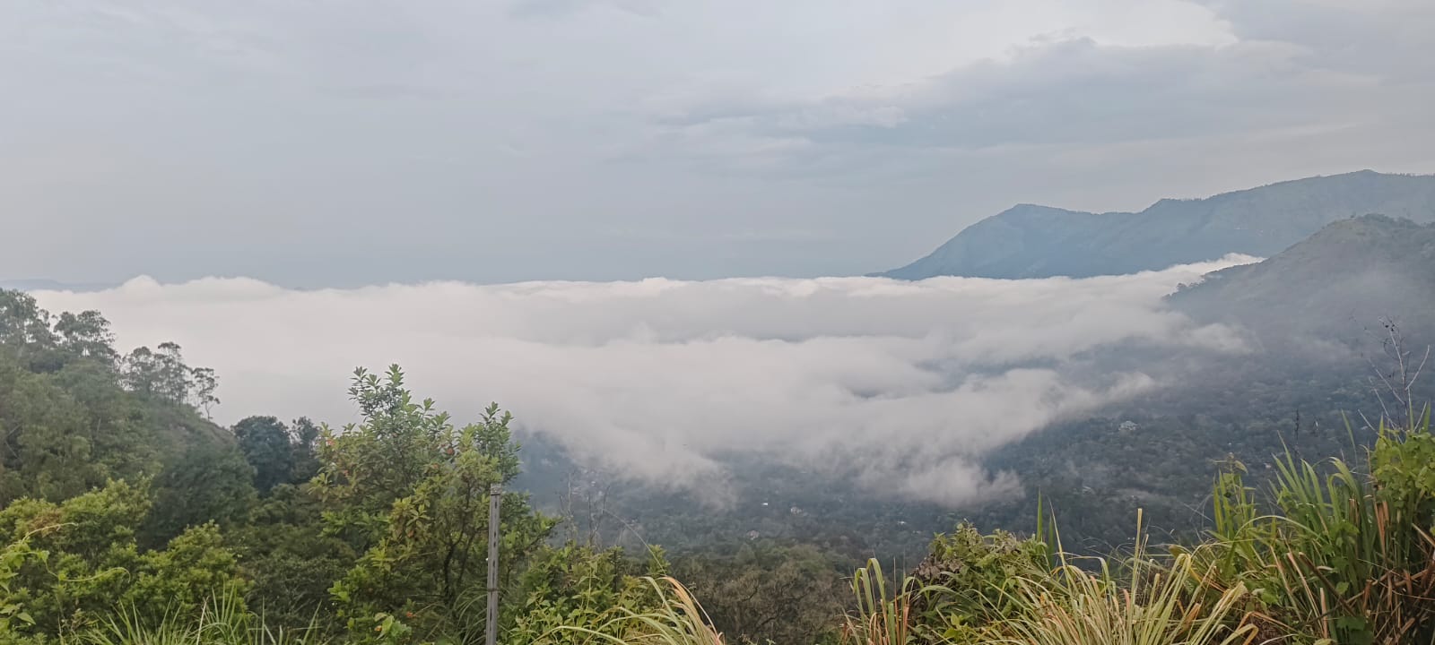 Plot at Pottankaad, Munnar — photo 7