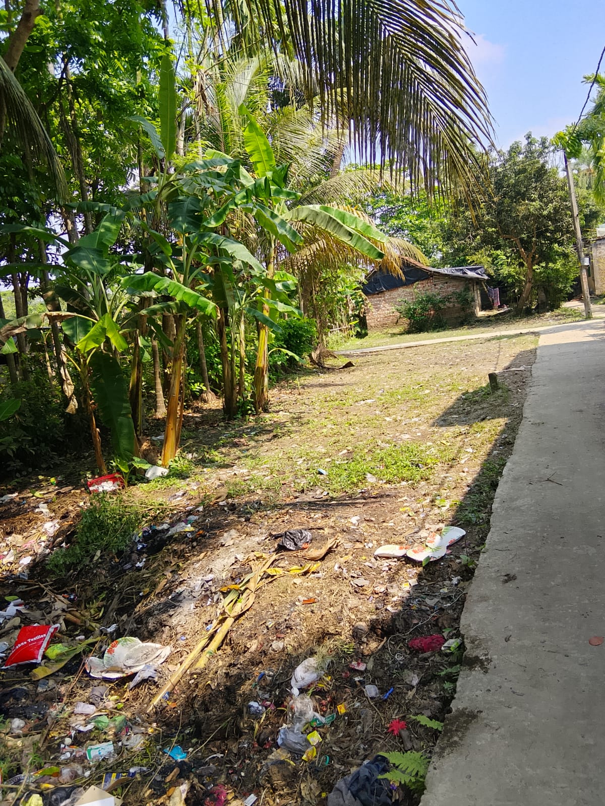 Plot in Bibirhat — photo 4