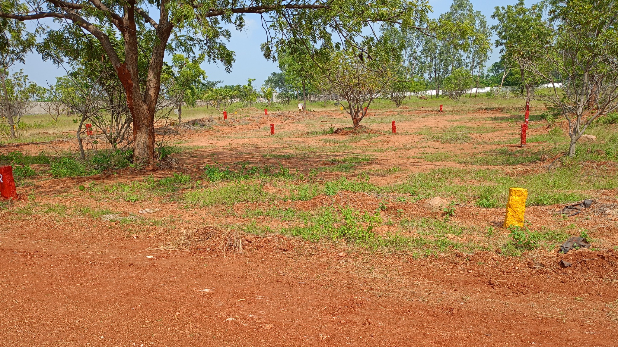Plot in Tekulasomaram — photo 4