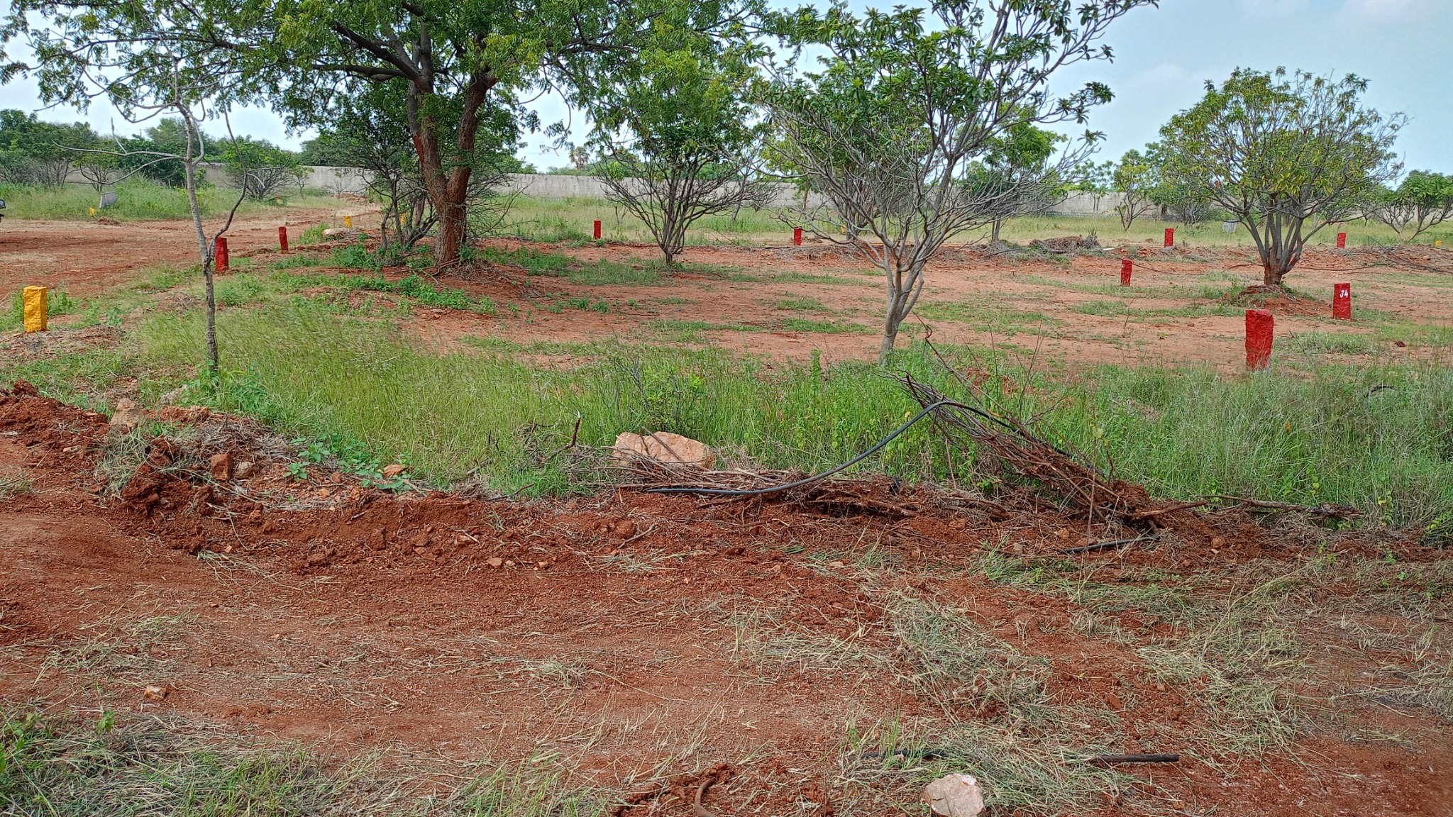 Plot in Tekulasomaram — photo 1