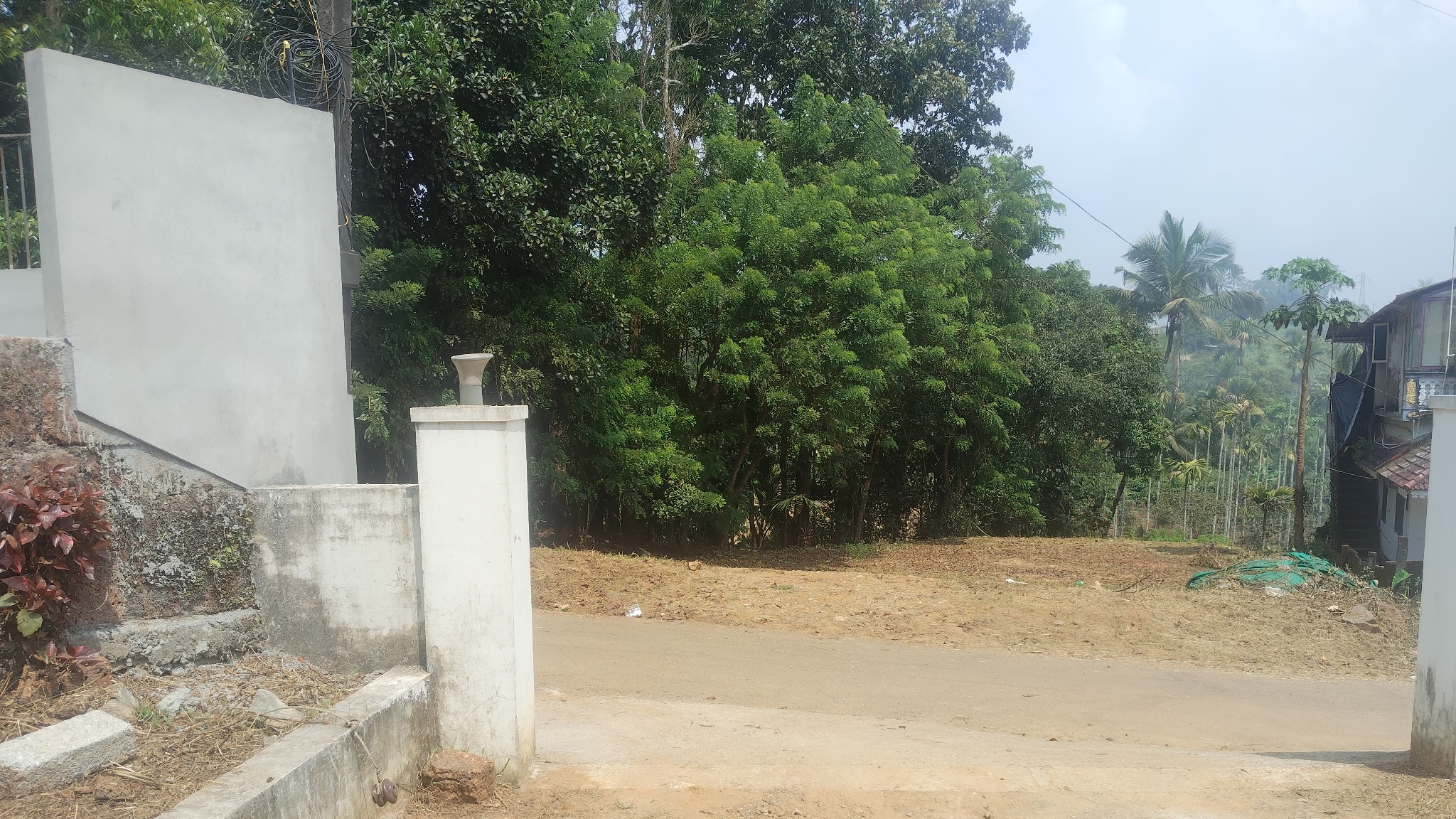 Plot in Kaniyaram — photo 1