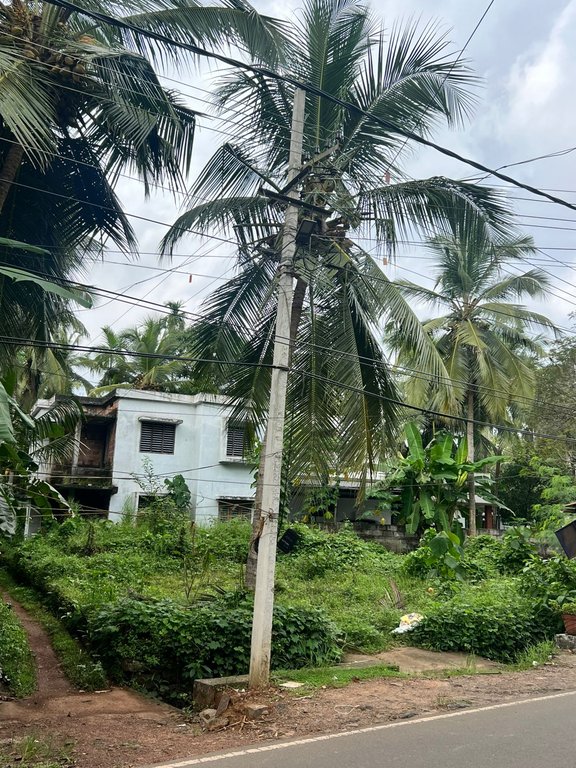 Plot Near Vythoor School Ullikal