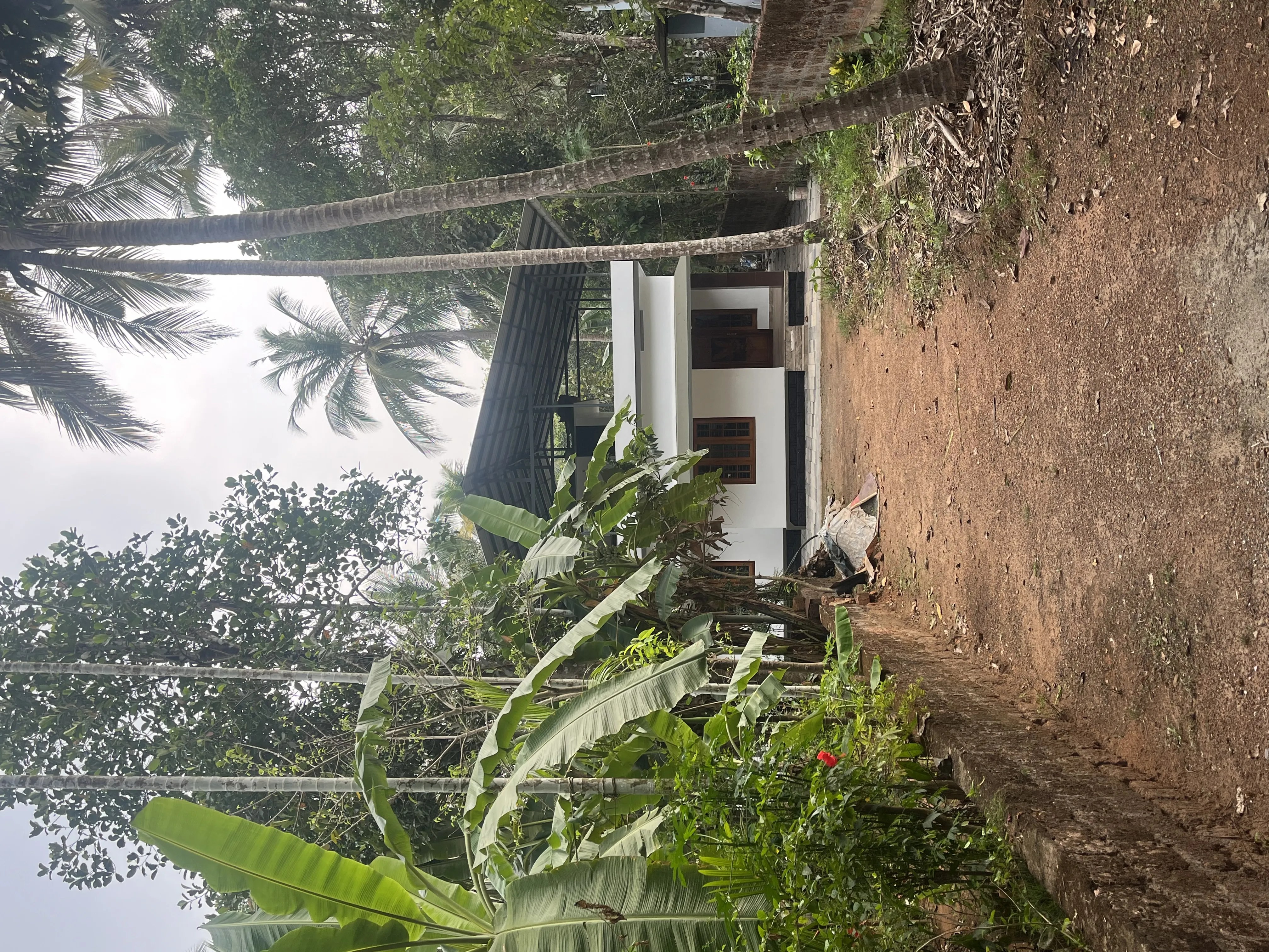 3BHK House for rent in Manassery, Kozhikode in 3BHK House for rent in Manassery