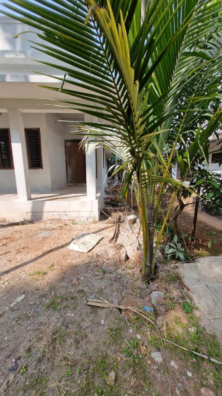 House At Mahe — photo 3