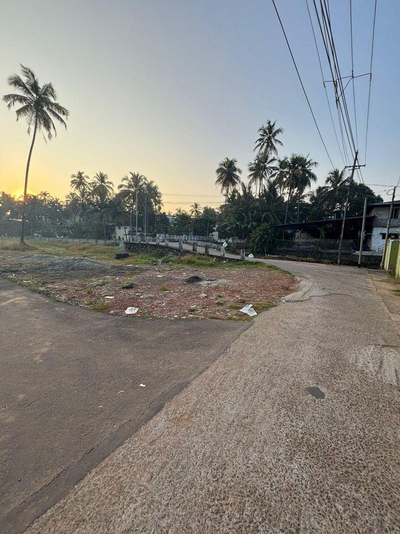 Premium Plots Near Kozhikode Lulu Mall in Mankavu